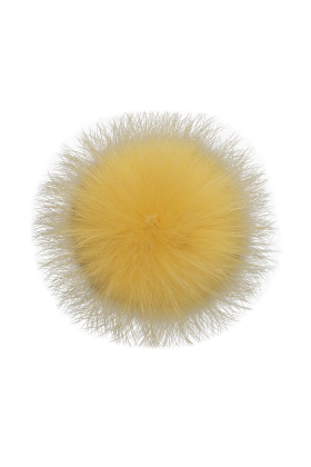 Buttercup Raccoon Pom