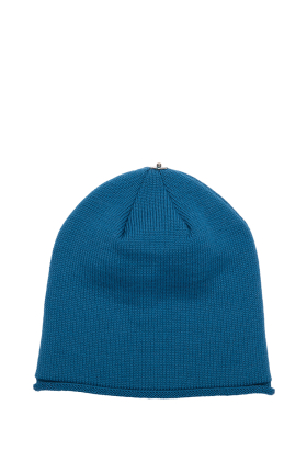 Glossy Hat Dragonfly